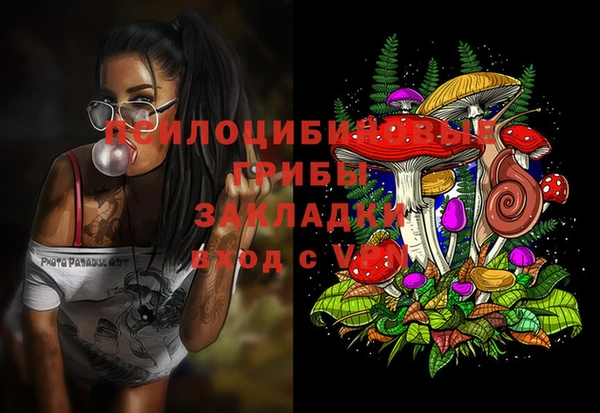 трава Балахна