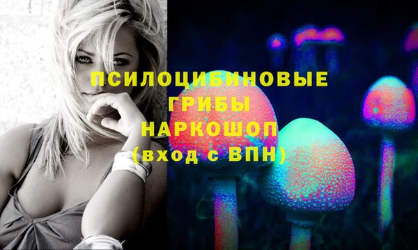 трава Балахна